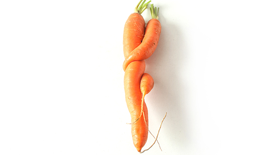 Imagen de dos zanahorias